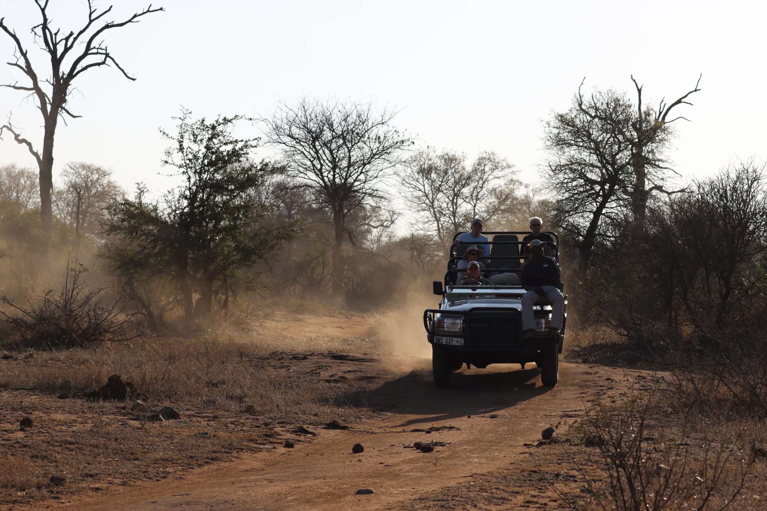 safari vehicle