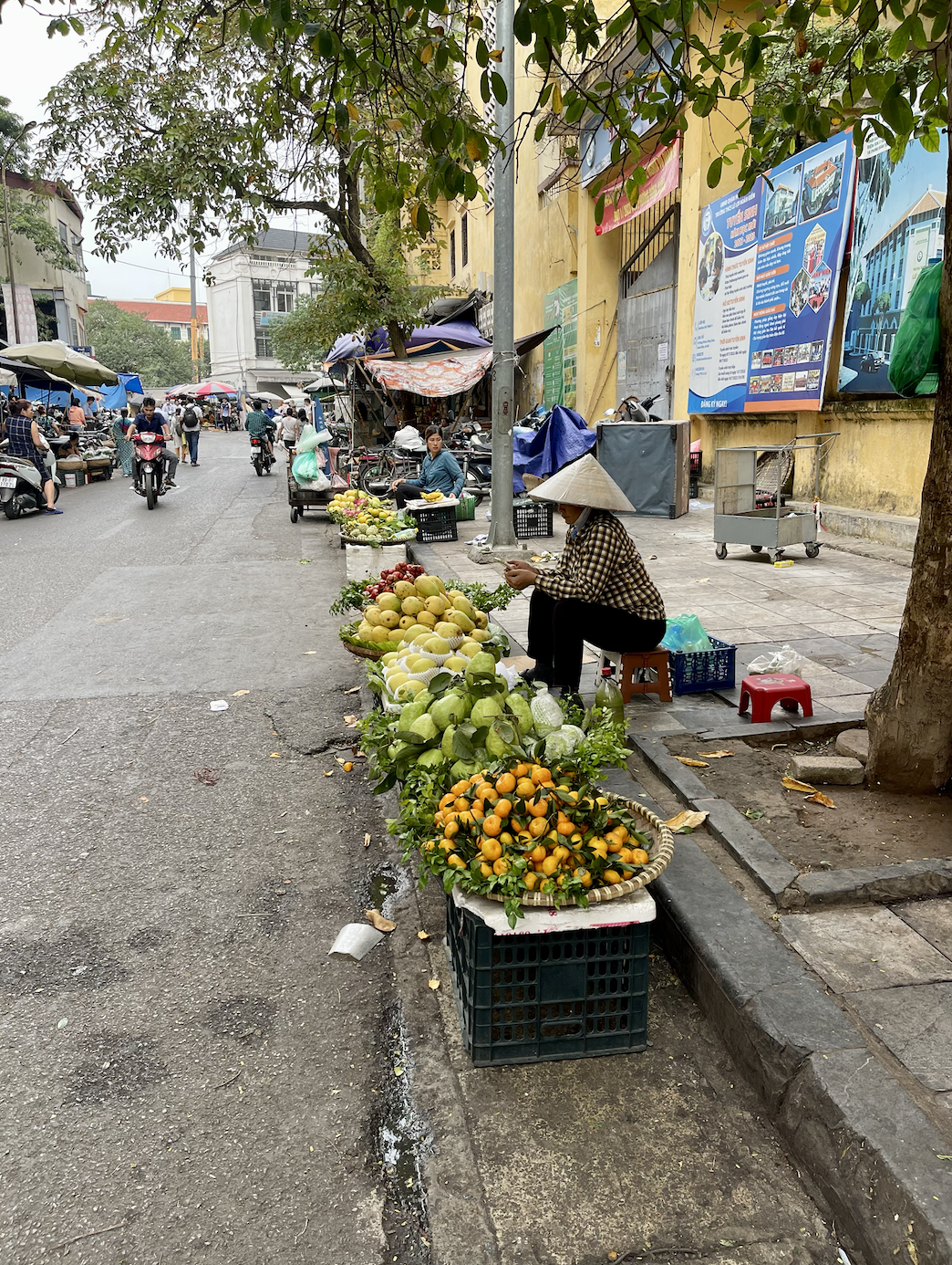 Dong Xuan Market, Hanoi, Market-10-day Vietnam itinerary