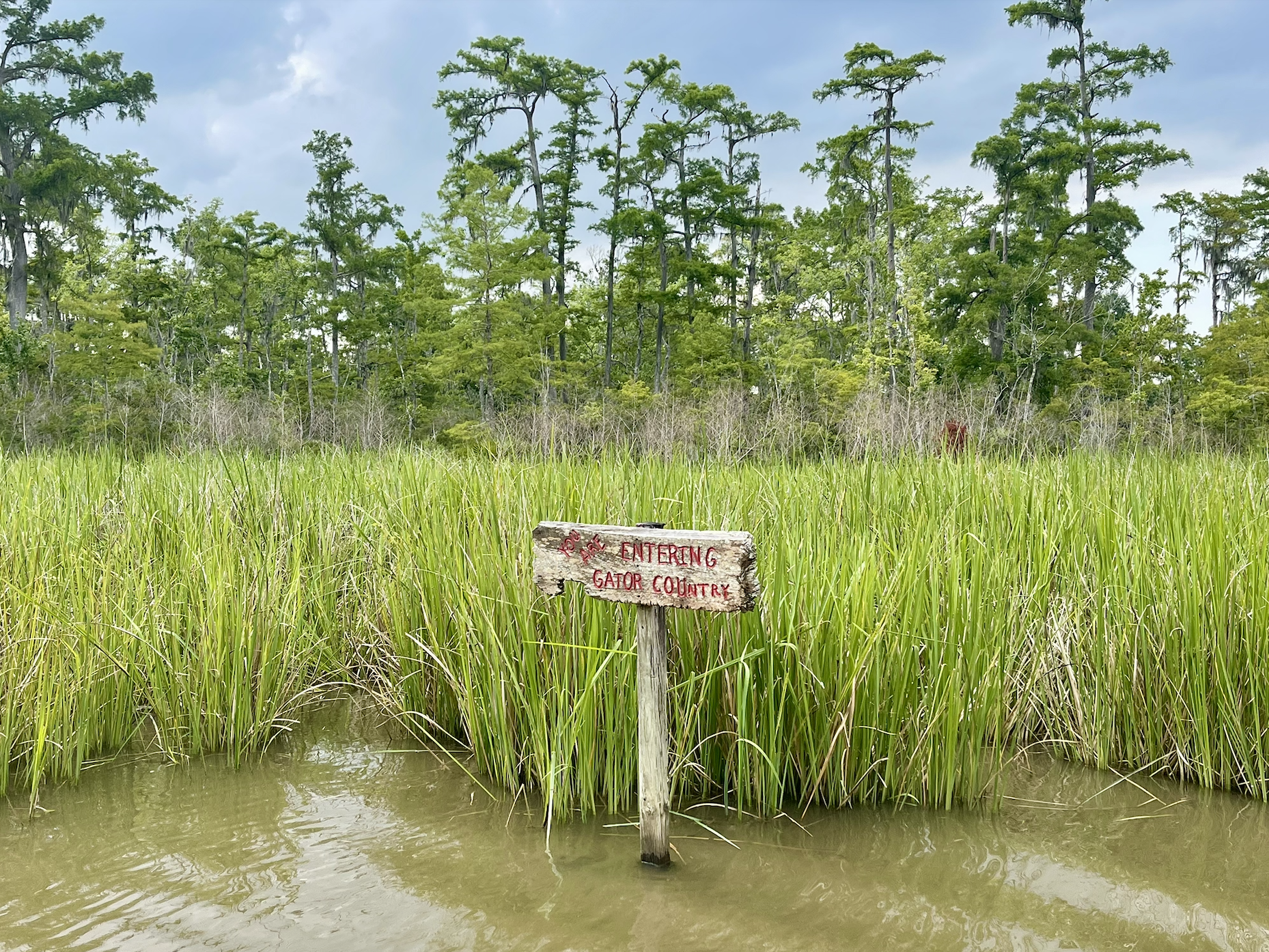 Jean Lafitte Swamp Tour-Things To Do In New Orleans